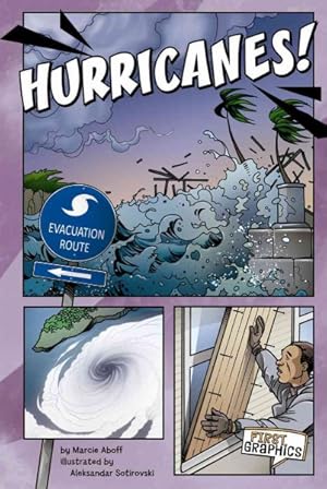Image du vendeur pour Hurricanes! mis en vente par GreatBookPricesUK
