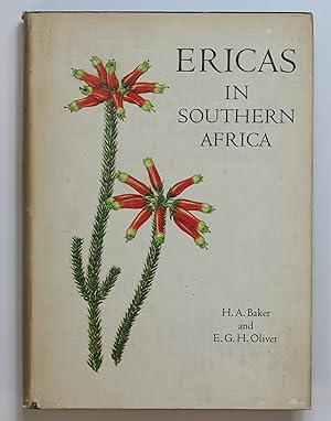 Imagen del vendedor de Ericas in Southern Africa a la venta por Our Kind Of Books