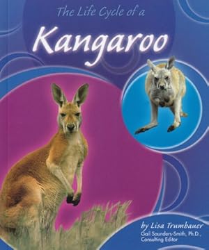 Seller image for The Life Cycle of a Kangaroo (Life Cycles (QEB Publishing)) for sale by WeBuyBooks