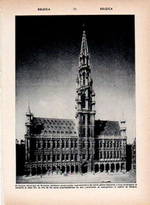 Imagen del vendedor de LAMINA V26916: Palacio Municipal de Bruselas a la venta por EL BOLETIN