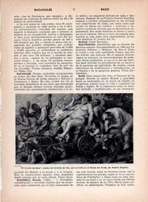Bild des Verkufers fr LAMINA V26869: El triunfo de Baco por Cornelis de Vos zum Verkauf von EL BOLETIN