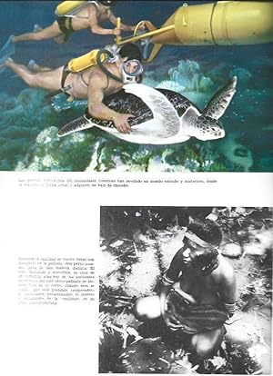 Imagen del vendedor de LAMINA 34051: Escena submarina y de Ese perro mundo a la venta por EL BOLETIN