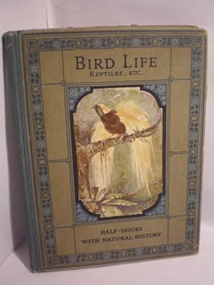 Bird Life and reptiles & Amphibians