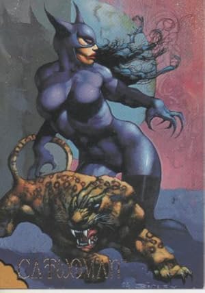 Bild des Verkufers fr Cromo E004581: Trading Card. Skybox Villains, n 32 Catwoman zum Verkauf von EL BOLETIN