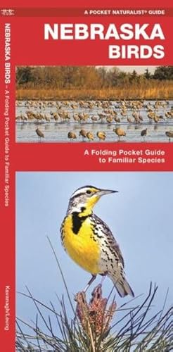 Seller image for Nebraska Birds : A Folding Pocket Guide to Familiar Species for sale by GreatBookPricesUK
