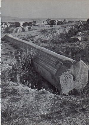 Bild des Verkufers fr LAMINA V28252: Columnas en Tiro zum Verkauf von EL BOLETIN