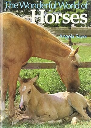 Seller image for The wonderful world of horses for sale by WeBuyBooks