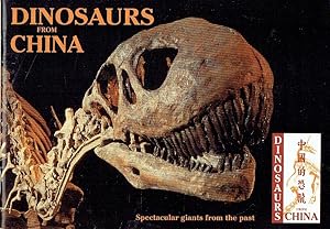 Bild des Verkufers fr Dinosaurs from China Spectacular Giants from the past zum Verkauf von Versandantiquariat Funke