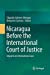 Bild des Verkufers fr Nicaragua Before the International Court of Justice: Impacts on International Law [Paperback ] zum Verkauf von booksXpress