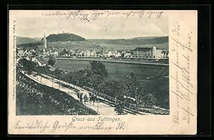 Bild des Verkäufers für Ansichtskarte Tuttlingen, Panorama der Stadt, Pferdekarren unterwegs zum Verkauf von Bartko-Reher