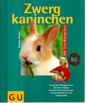 Zwergkaninchen. neugierige Schnuppernasen. Mit dem richtigen Kaninchenheim und gesunder Ernährung...