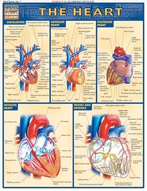 Seller image for Heart (Loose Leaf) for sale by Grand Eagle Retail