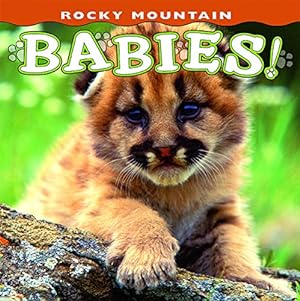 Immagine del venditore per Rocky Mountain Babies! (Babies! Animal) [No Binding ] venduto da booksXpress