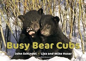 Imagen del vendedor de Busy Bear Cubs (A Busy Book) by Schindel, John [Board book ] a la venta por booksXpress