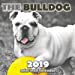 Imagen del vendedor de The Bulldog 2019 Mini Wall Calendar [Soft Cover ] a la venta por booksXpress