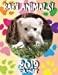 Seller image for Baby Animals! 2019 Calendar [Soft Cover ] for sale by booksXpress