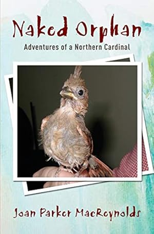 Seller image for Naked Orphan: Adventures of a Northern Cardinal [Soft Cover ] for sale by booksXpress