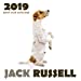Imagen del vendedor de Jack Russell 2019 Mini Wall Calendar [Soft Cover ] a la venta por booksXpress