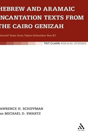 Bild des Verkufers fr Hebrew and Aramaic Incantation Texts from the Cairo Genizah (Semitic Texts and Studies) [Hardcover ] zum Verkauf von booksXpress