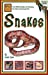 Imagen del vendedor de Snakes (Beginning Vivarium Systems) [Soft Cover ] a la venta por booksXpress