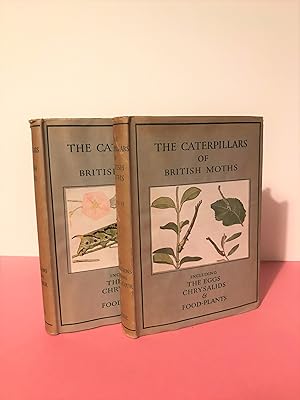 THE CATERPILLARS OF THE BRITISH MOTHS Series I and II The Wayside and Woodland Series. [From the ...