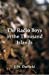 Imagen del vendedor de The Radio Boys in the Thousand Islands [Soft Cover ] a la venta por booksXpress