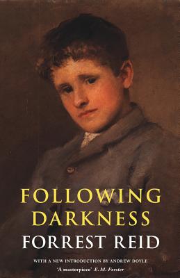 Seller image for Following Darkness (Paperback or Softback) for sale by BargainBookStores