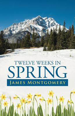 Bild des Verkufers fr Twelve Weeks in Spring (Paperback or Softback) zum Verkauf von BargainBookStores