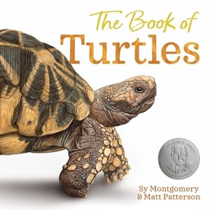 Seller image for The Book of Turtles (Hardback or Cased Book) for sale by BargainBookStores