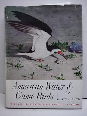 Rare AMERICAN WATER AND GAME BIRDS - E. P. Dutton and Co., New York