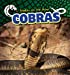 Imagen del vendedor de Cobras (Snakes on the Hunt) [Soft Cover ] a la venta por booksXpress