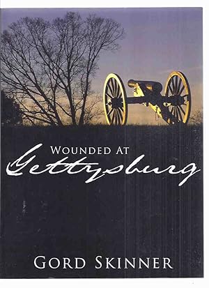 Wounded at Gettysburg: A Book of 44 Letters Written By a Civil War Soldier to His Family Members ...