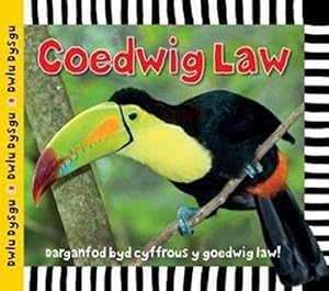 Bild des Verkufers fr Coedwig Law (Cyfres Dwlu Dysgu) zum Verkauf von WeBuyBooks