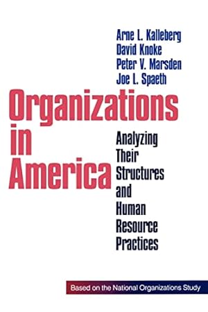 Bild des Verkufers fr Organizations in America: Analysing Their Structures and Human Resource Practices zum Verkauf von WeBuyBooks