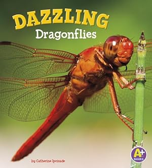 Seller image for Dazzling Dragonflies for sale by GreatBookPrices