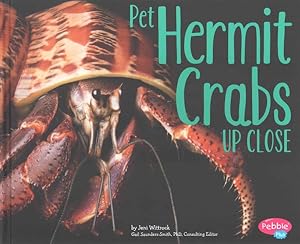 Seller image for Pet Hermit Crabs Up Close for sale by GreatBookPrices