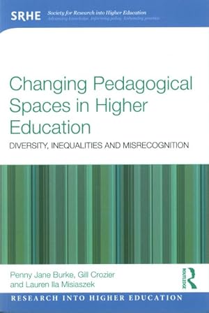 Imagen del vendedor de Changing Pedagogical Spaces in Higher Education : Diversity, inequalities and misrecognition a la venta por GreatBookPrices