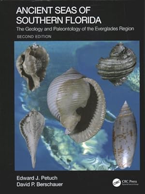 Bild des Verkufers fr Ancient Seas of Southern Florida : The Geology and Paleontology of the Everglades Region zum Verkauf von GreatBookPrices