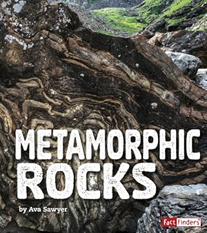 Imagen del vendedor de Metamorphic Rocks a la venta por GreatBookPrices