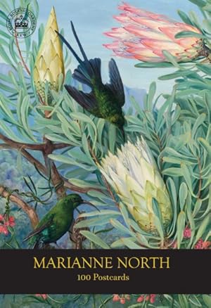 Immagine del venditore per Marianne North 100 Postcards venduto da GreatBookPrices