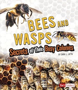 Seller image for Bees and Wasps : Secrets of Their Busy Colonies for sale by GreatBookPrices