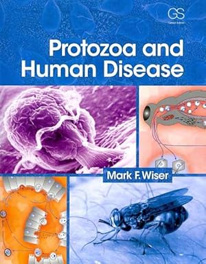 Imagen del vendedor de Protozoa and Human Disease a la venta por GreatBookPrices