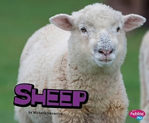 Seller image for Sheep for sale by GreatBookPrices