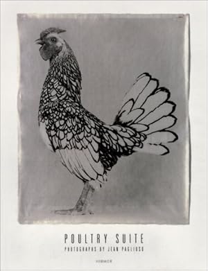 Seller image for Poultry Suite : Photographs by Jean Pagliuso for sale by GreatBookPrices