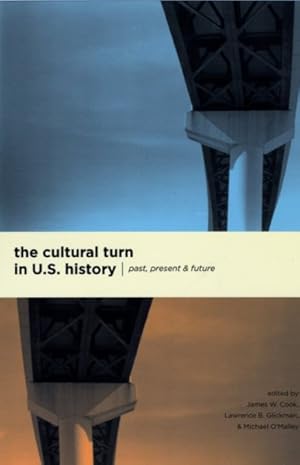Imagen del vendedor de Cultural Turn in U. S. History : Past, Present, and Future a la venta por GreatBookPrices
