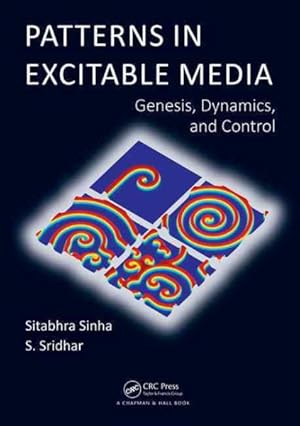 Image du vendeur pour Patterns in Excitable Media : Genesis, Dynamics, and Control mis en vente par GreatBookPrices