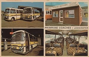 Primrose Coaches Leominster Hereford 1980s Rare Advertising Postcard