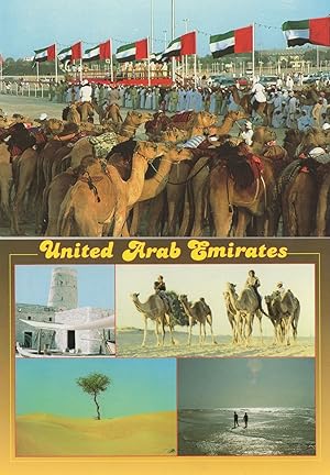 Dubai Arabic Camel Horse Race Racing United Arab Emirates 2x Postcard s