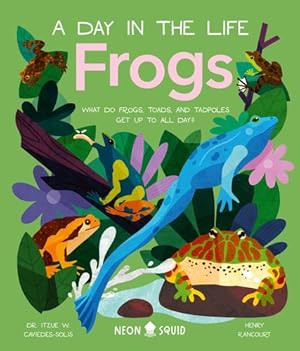 Immagine del venditore per Frogs (A Day in the Life): What Do Frogs, Toads, and Tadpoles Get Up to All Day? by Solis, Dr Itzue W. Caviedes, Neon Squid [Hardcover ] venduto da booksXpress