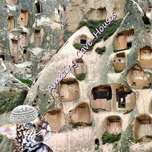 Seller image for Amazing Cave-houses for sale by GreatBookPrices